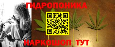 jwh Будённовск