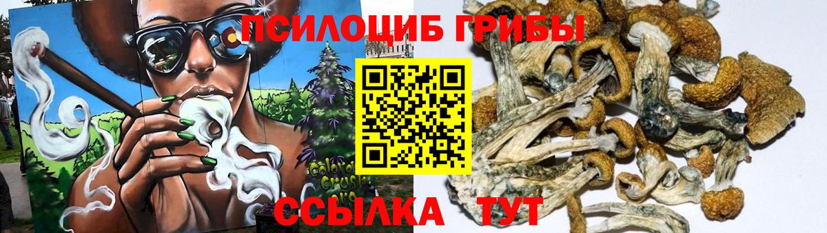 Галлюциногенные грибы GOLDEN TEACHER  закладки  Великий Новгород  Вход с VPN 