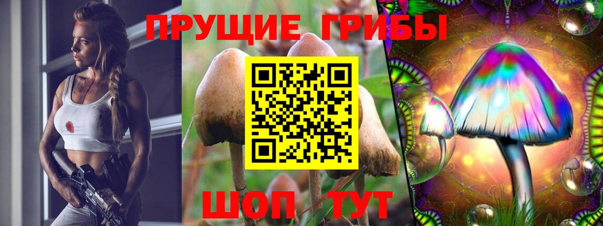 Псилоцибиновые грибы мицелий Великий Новгород