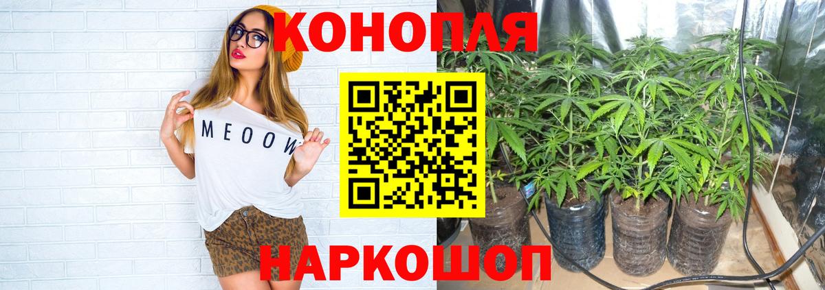 МАРИХУАНА план  Бошки марихуана сатива  Вход с VPN  Великий Новгород  Бошки марихуана Amnesia 